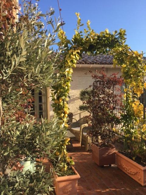 Domaine Le Bois Des Dames Bed & Breakfast Chantemerle-lès-Grignan Exterior foto