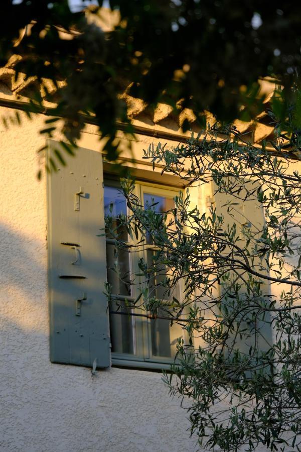 Domaine Le Bois Des Dames Bed & Breakfast Chantemerle-lès-Grignan Exterior foto